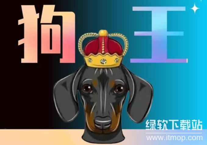 Dogeking定义为何?属于何种加密货币?