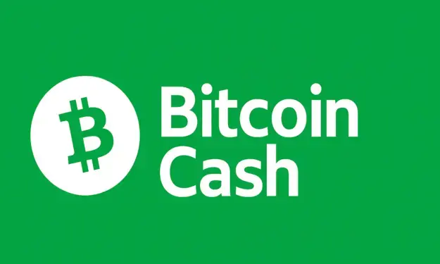 Bitcoin_cash_logo.png