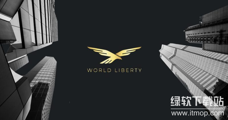 WLFI币的“治理优先”理念是什么?持币者如何参与社区投票?
