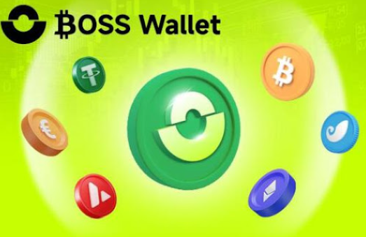 BOSS Wallet核心功能：如何提升使用体验？钱包优势何在？