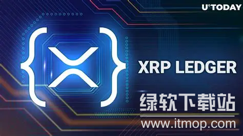 XRP基于什么链?XRP是公链吗?