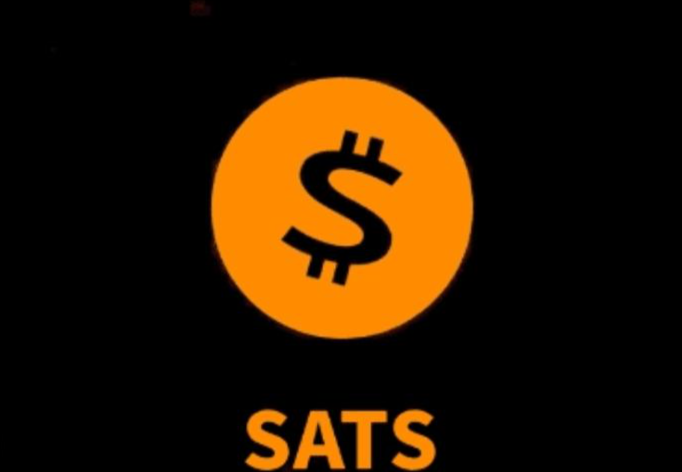 SATS币是什么币种？是山寨币吗？