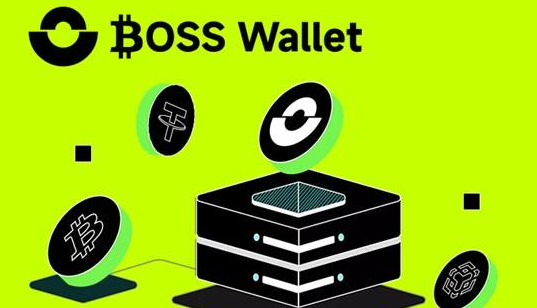 使用 Boss Wallet 需要付费吗？它的费用结构是怎样的？