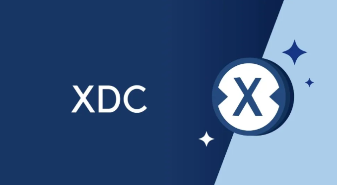 XDC币是什么类型？XDC币是龙头币吗？
