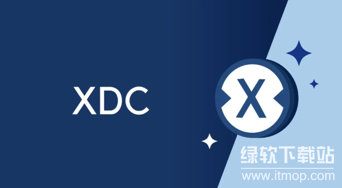XDC币是什么类型?XDC币是龙头币吗?