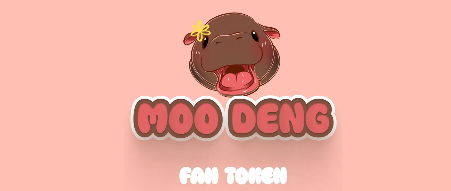MOODENG币表现如何？是否适合作为加密货币投资选择？