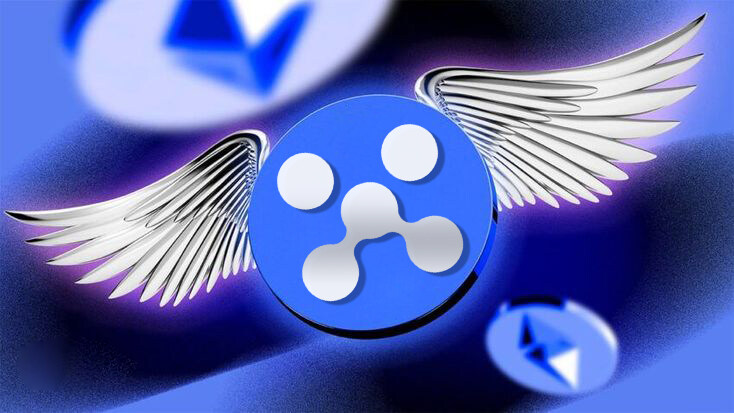 Xbit支持哪些币种呢？币种介绍是什么样的？