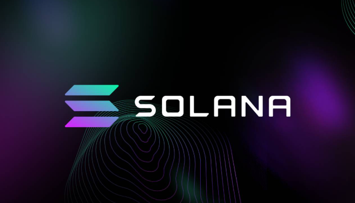 什么是Solana虚拟机？其执行环境有何不同之处？