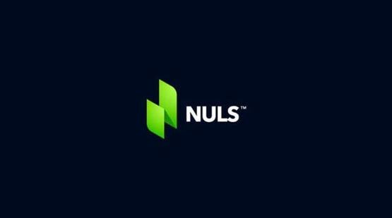 NULS币是什么样的项目？它算是百倍币吗？