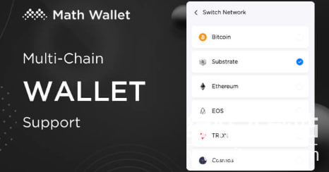 麦子钱包安全吗?麦子钱包的安全性如何?