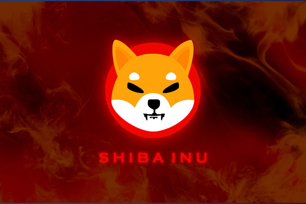 shiba-inu-1024x683.png