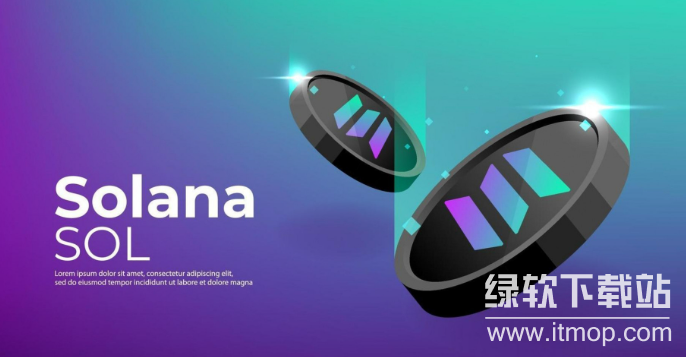 什么是SOL代币?它在网络中有什么作用?