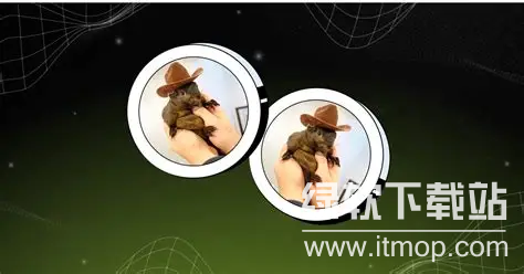 松鼠币的功能是什么?松鼠币的用途和作用有哪些?