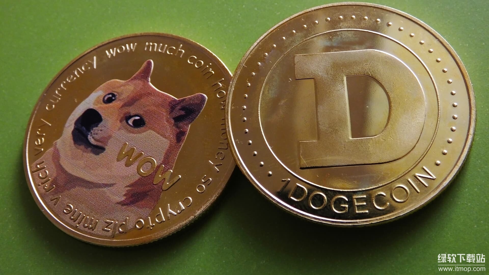 狗狗币社区有多强大?它对项目发展重要吗?